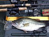 Click image for larger version.&nbsp;

Name:	6 lb bass 2.jpg&nbsp;
Views:	391&nbsp;
Size:	44.0 KB&nbsp;
ID:	4191