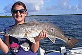 Click image for larger version.&nbsp;

Name:	Oct2012CallistaRed-1.jpg&nbsp;
Views:	226&nbsp;
Size:	32.9 KB&nbsp;
ID:	4252