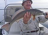 Click image for larger version.&nbsp;

Name:	Oct2012RedBob.jpg&nbsp;
Views:	226&nbsp;
Size:	30.8 KB&nbsp;
ID:	4254