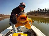 Click image for larger version.&nbsp;

Name:	GOPR9528.jpg&nbsp;
Views:	848&nbsp;
Size:	40.6 KB&nbsp;
ID:	4281