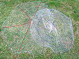 Click image for larger version.&nbsp;

Name:	seam-lines.jpg&nbsp;
Views:	4303&nbsp;
Size:	203.3 KB&nbsp;
ID:	4432