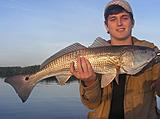 Click image for larger version.&nbsp;

Name:	Jan12013RedEthan.jpg&nbsp;
Views:	209&nbsp;
Size:	26.6 KB&nbsp;
ID:	4579