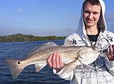 Click image for larger version.&nbsp;

Name:	Jan12013Red1.jpg&nbsp;
Views:	210&nbsp;
Size:	37.2 KB&nbsp;
ID:	4581