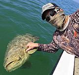Click image for larger version.&nbsp;

Name:	1413goliath.jpg&nbsp;
Views:	214&nbsp;
Size:	146.6 KB&nbsp;
ID:	4686