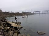 Click image for larger version.&nbsp;

Name:	CROWDED SAUGER FISHING.jpg&nbsp;
Views:	595&nbsp;
Size:	31.3 KB&nbsp;
ID:	4766
