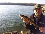 Click image for larger version.&nbsp;

Name:	ME AND A SAUGER.jpg&nbsp;
Views:	436&nbsp;
Size:	53.0 KB&nbsp;
ID:	4768