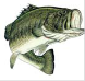 Name:  !cid_ii_13da27424d7abb31.png
Views: 539
Size:  11.0 KB