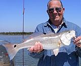 Click image for larger version.&nbsp;

Name:	april2013tomred.jpg&nbsp;
Views:	158&nbsp;
Size:	30.0 KB&nbsp;
ID:	5122