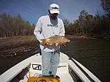 Click image for larger version.&nbsp;

Name:	GOPR3079.jpg&nbsp;
Views:	277&nbsp;
Size:	40.9 KB&nbsp;
ID:	5194