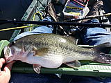 Click image for larger version.&nbsp;

Name:	20130421_095651.jpg&nbsp;
Views:	365&nbsp;
Size:	67.0 KB&nbsp;
ID:	5209