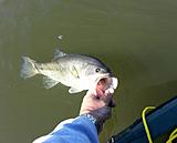 Click image for larger version.&nbsp;

Name:	20130421_101953-1.jpg&nbsp;
Views:	330&nbsp;
Size:	25.0 KB&nbsp;
ID:	5210