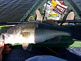 Click image for larger version.&nbsp;

Name:	20130421_101941.jpg&nbsp;
Views:	357&nbsp;
Size:	52.2 KB&nbsp;
ID:	5211