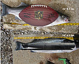Click image for larger version.&nbsp;

Name:	Hybrid and Striper Combined image football on hybrid.jpg&nbsp;
Views:	206&nbsp;
Size:	97.2 KB&nbsp;
ID:	5298