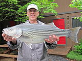 Click image for larger version.&nbsp;

Name:	IMG_0346.jpg&nbsp;
Views:	283&nbsp;
Size:	65.0 KB&nbsp;
ID:	5302