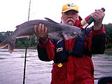 Click image for larger version.&nbsp;

Name:	7lb 14 oz blue cat.jpg&nbsp;
Views:	279&nbsp;
Size:	43.1 KB&nbsp;
ID:	5401