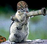 Click image for larger version.&nbsp;

Name:	squirrel bazooka.jpg&nbsp;
Views:	706&nbsp;
Size:	38.9 KB&nbsp;
ID:	5712