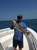 Click image for larger version.&nbsp;

Name:	walleye.jpg&nbsp;
Views:	205&nbsp;
Size:	31.1 KB&nbsp;
ID:	5862