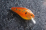 Click image for larger version.&nbsp;

Name:	Painted Rapala 053 downsized.jpg&nbsp;
Views:	235&nbsp;
Size:	98.7 KB&nbsp;
ID:	6038