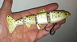 Click image for larger version.&nbsp;

Name:	apb-stocker-trout.jpg&nbsp;
Views:	188&nbsp;
Size:	36.3 KB&nbsp;
ID:	6991