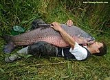 Click image for larger version.&nbsp;

Name:	fish hug.jpg&nbsp;
Views:	287&nbsp;
Size:	11.1 KB&nbsp;
ID:	7329