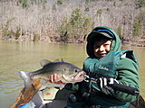 Click image for larger version.&nbsp;

Name:	20140409_105326.jpg&nbsp;
Views:	763&nbsp;
Size:	85.6 KB&nbsp;
ID:	7723