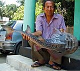 Click image for larger version.&nbsp;

Name:	images (2).jpg&nbsp;
Views:	261&nbsp;
Size:	8.9 KB&nbsp;
ID:	8826