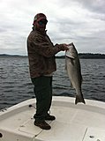 Click image for larger version.&nbsp;

Name:	photo5.jpg&nbsp;
Views:	220&nbsp;
Size:	46.3 KB&nbsp;
ID:	9030