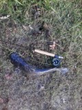 Name:  catfish fly 1.jpg
Views: 118
Size:  10.5 KB