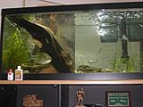 Click image for larger version.&nbsp;

Name:	Picture 014.jpg&nbsp;
Views:	377&nbsp;
Size:	79.6 KB&nbsp;
ID:	970