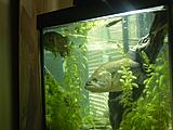 Click image for larger version.&nbsp;

Name:	Picture 020.jpg&nbsp;
Views:	354&nbsp;
Size:	81.0 KB&nbsp;
ID:	971