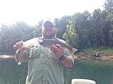 Click image for larger version.&nbsp;

Name:	rainbow trout.jpg&nbsp;
Views:	393&nbsp;
Size:	47.6 KB&nbsp;
ID:	9988