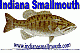 lov2fish's Avatar