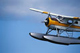 birdstrike's Avatar