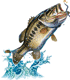 CrankBaitKilla's Avatar