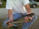 Catfish Cowboy's Avatar