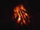 Barefoot's Avatar