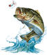 md43's Avatar