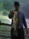BassHole24's Avatar