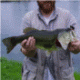 GreenRiverWildMan's Avatar
