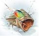 mccanncan41's Avatar