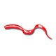 Fishin.com post's Avatar