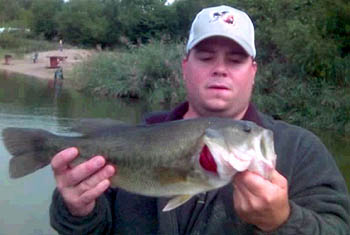 Bass-12