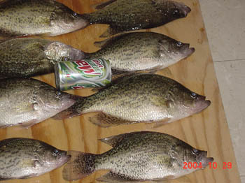 lake-cumberland-horton