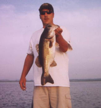 Big-fish-pictures