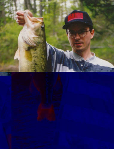 Louis_10lb