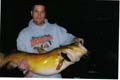 aarons-fish