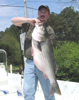 2004-04-699