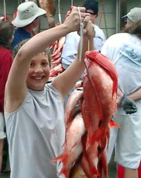 austinstringer