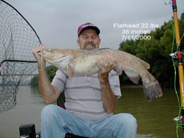 flathead22lbs