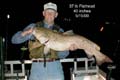 flathead37lb
